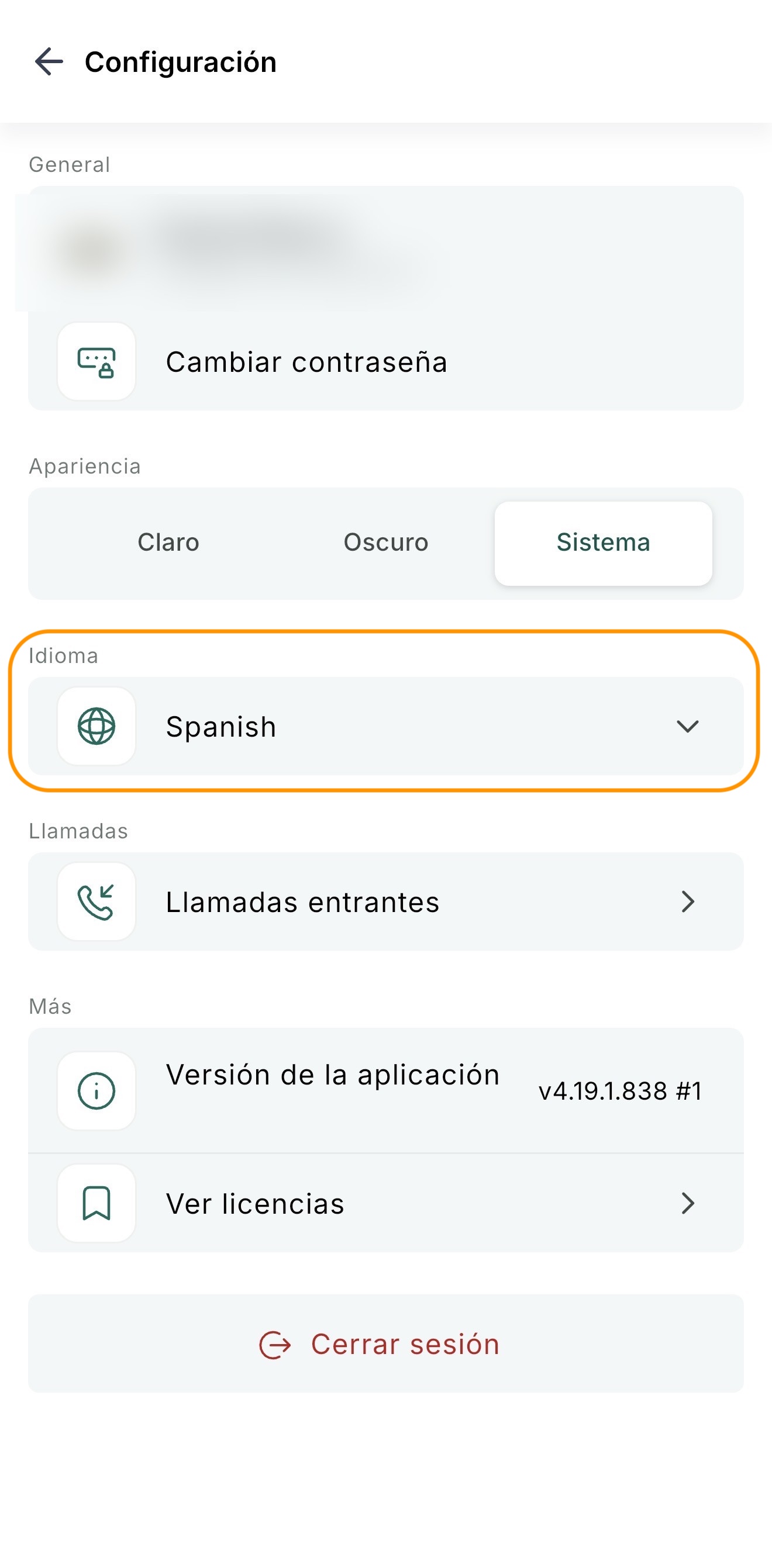 La pantalla de Ajustes con la opción de Idioma marcada
